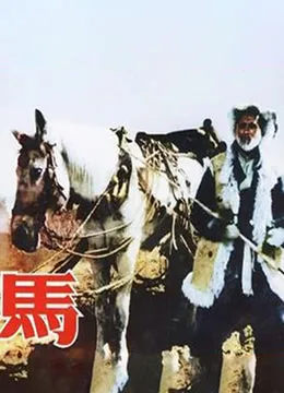 马 1956